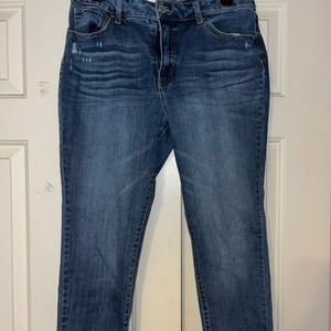 Petite High Rise Skinny Jeans